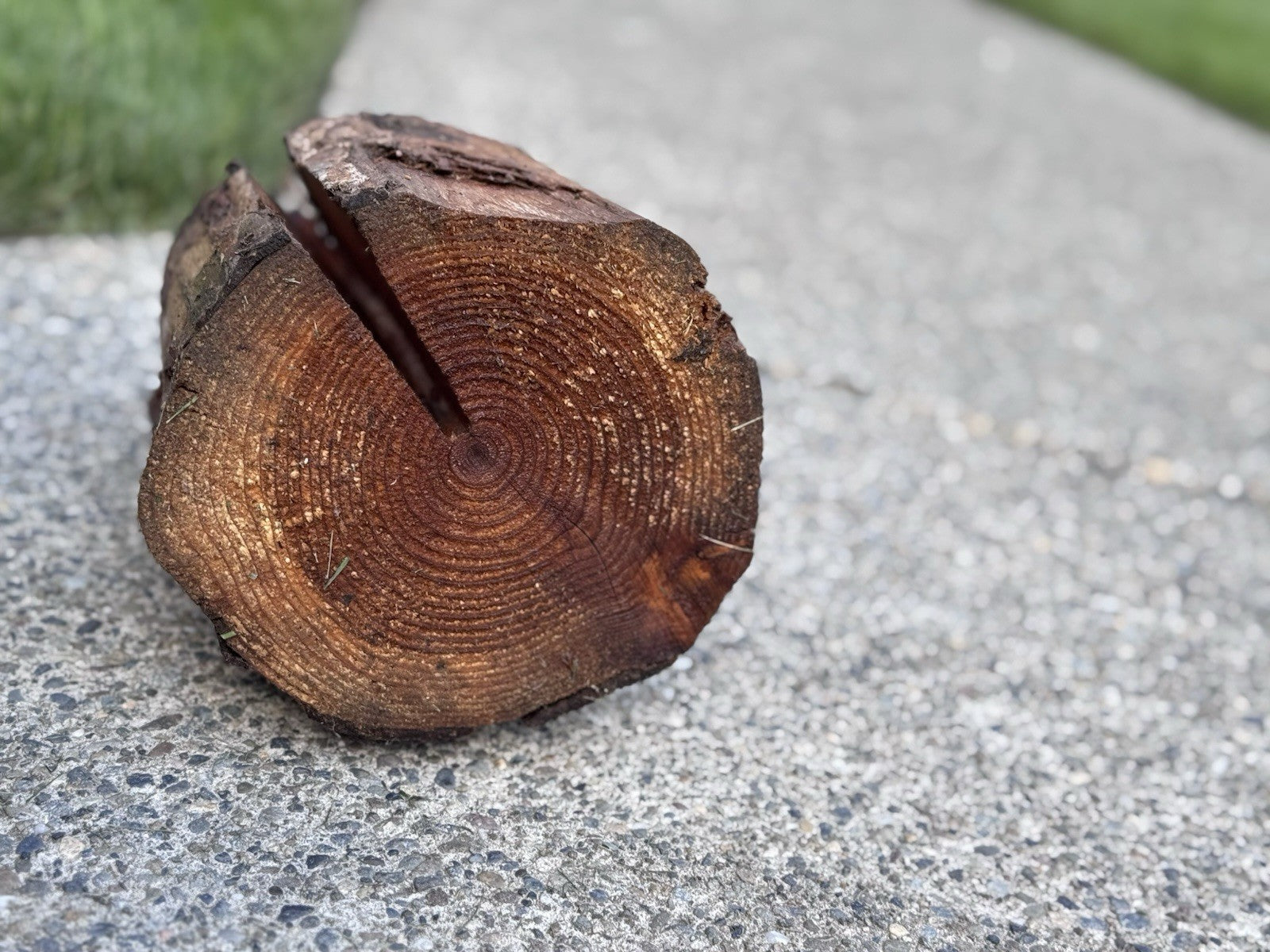 Chainsaw Carved Wooden Bear 16” Sculpture Beautiful Cabin Figural Wildlife Decor