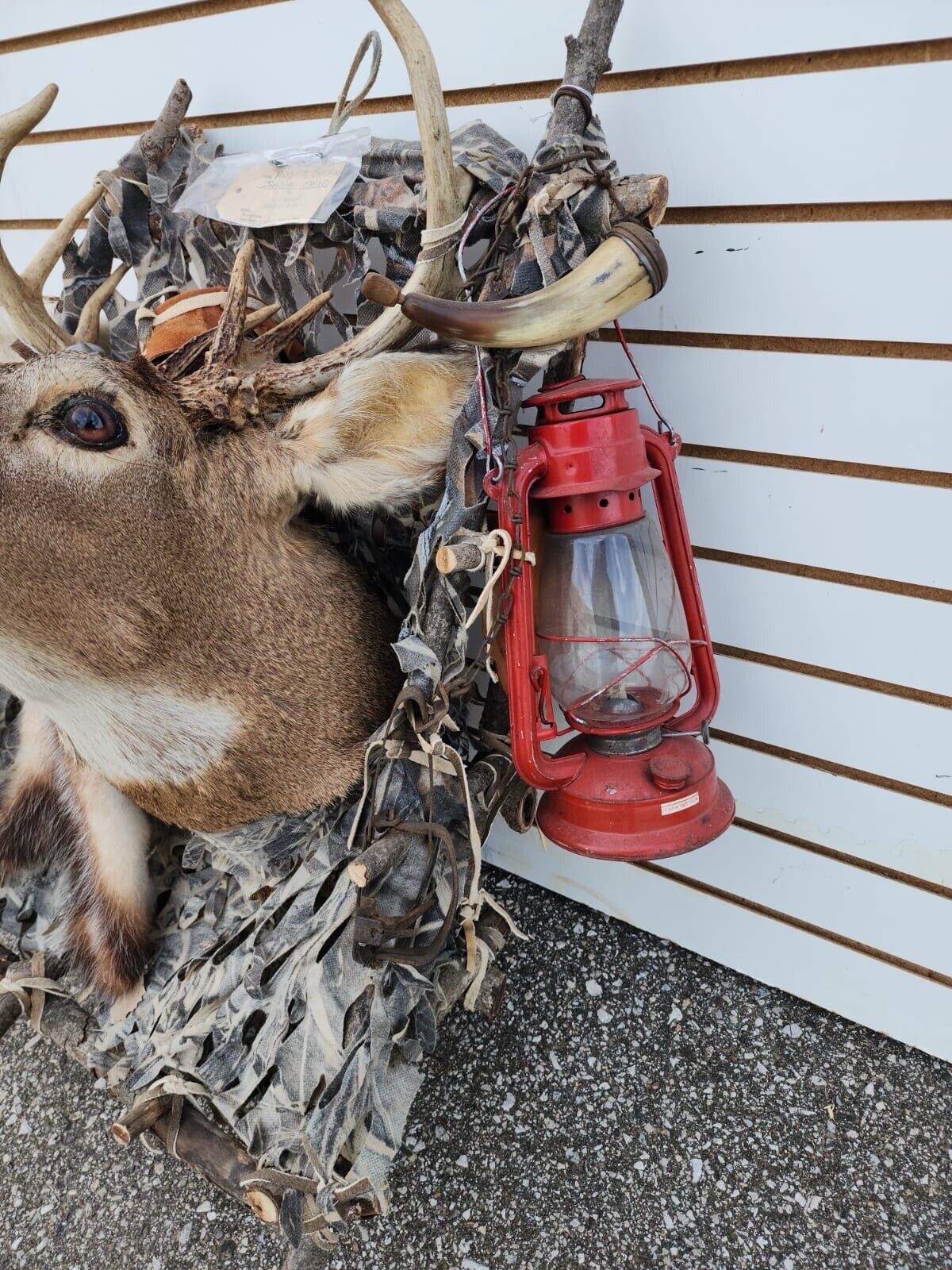Whitetail Pack Out Back Pack Mount Taxidermy | Skin Pelt