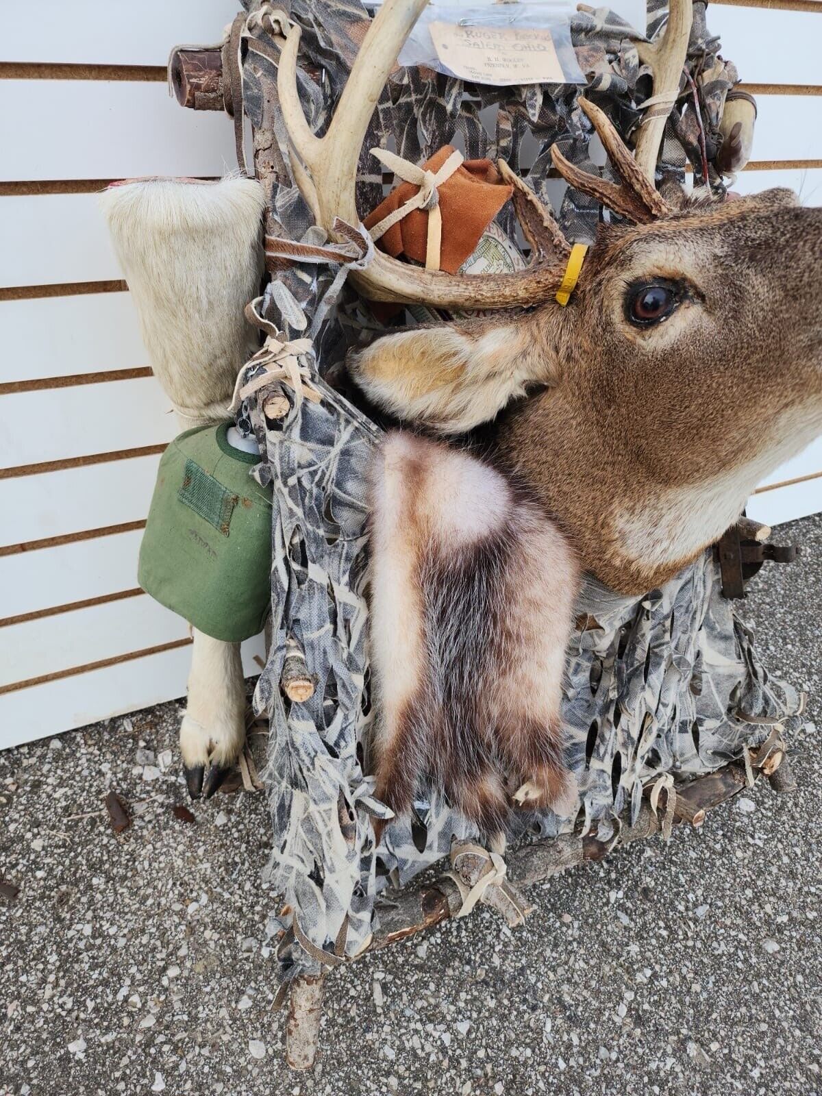 Whitetail Pack Out Back Pack Mount Taxidermy | Skin Pelt