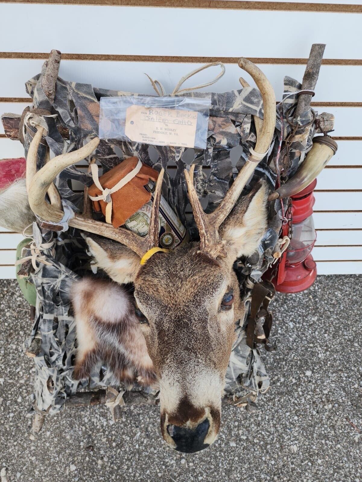 Whitetail Pack Out Back Pack Mount Taxidermy | Skin Pelt