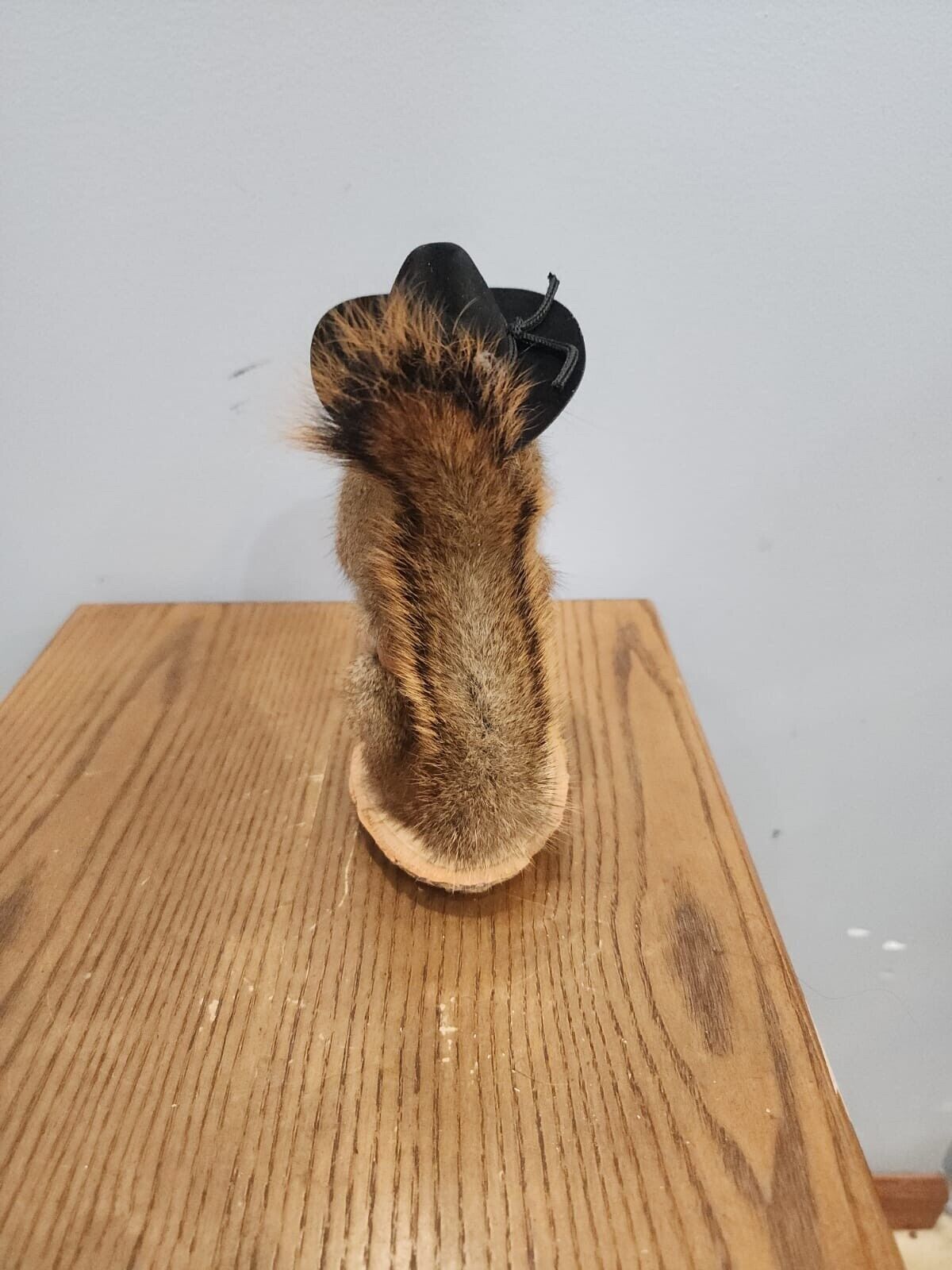 Cowboy Sheriff Squirrel Taxidermy Animal Statue on Base Home or Office Gift
