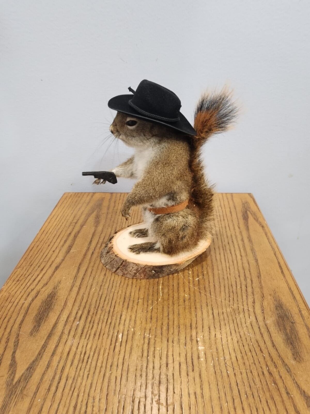 Cowboy Sheriff Squirrel Taxidermy Animal Statue on Base Home or Office Gift