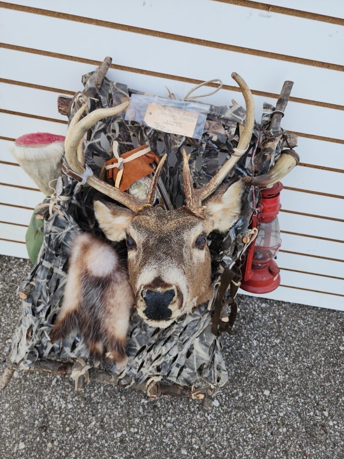Whitetail Pack Out Back Pack Mount Taxidermy | Skin Pelt