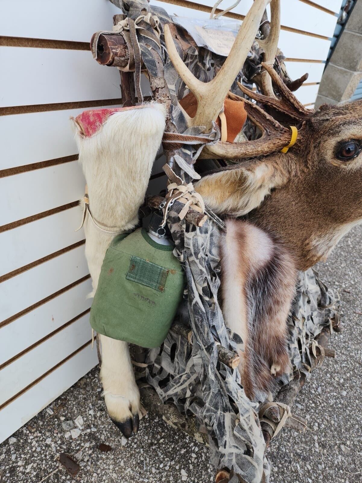 Whitetail Pack Out Back Pack Mount Taxidermy | Skin Pelt