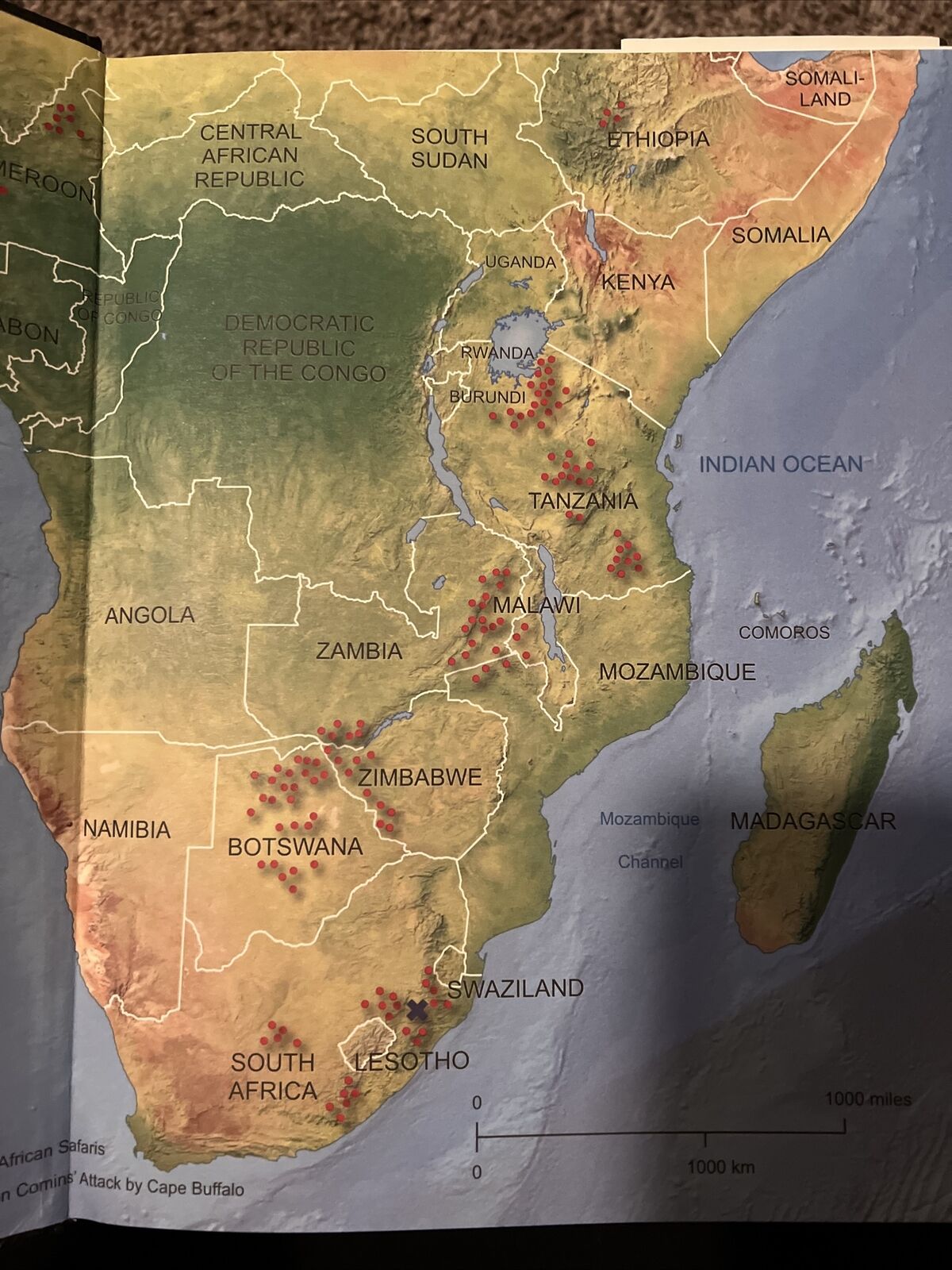 Facing the Charge: African Dangerous Game