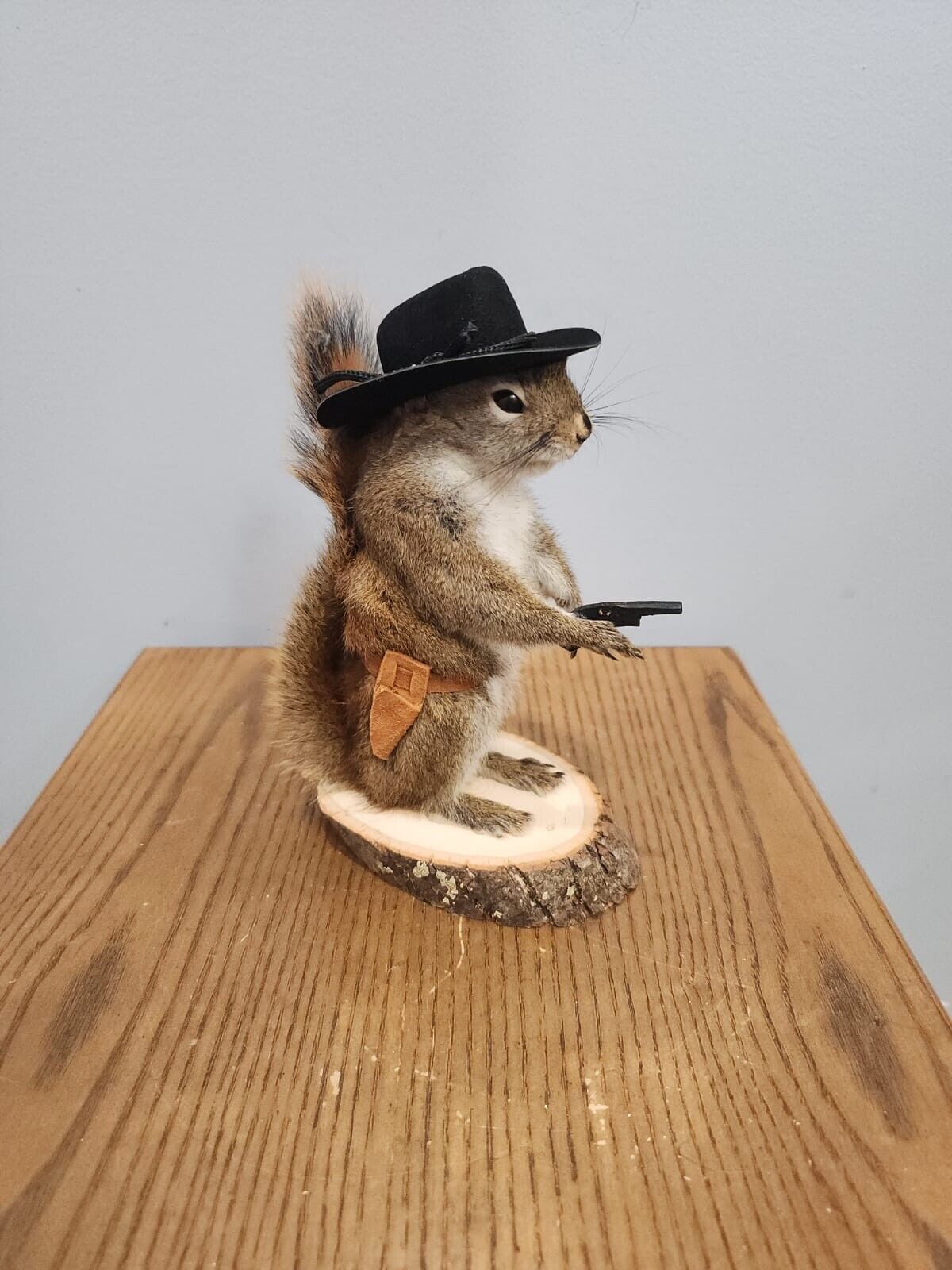 Cowboy Sheriff Squirrel Taxidermy Animal Statue on Base Home or Office Gift