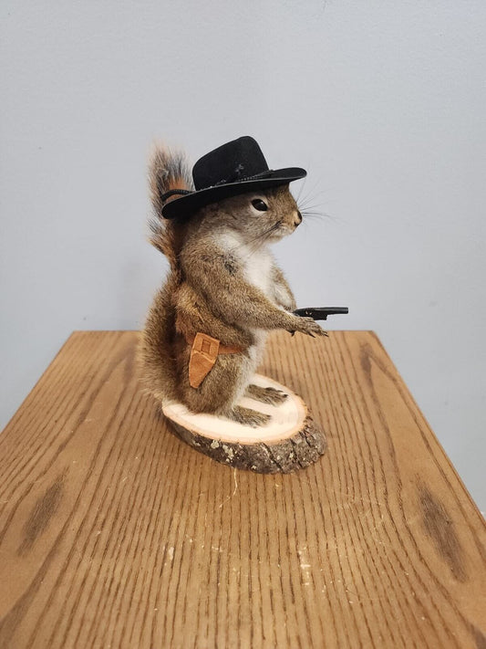 Cowboy Sheriff Squirrel Taxidermy Animal Statue on Base Home or Office Gift
