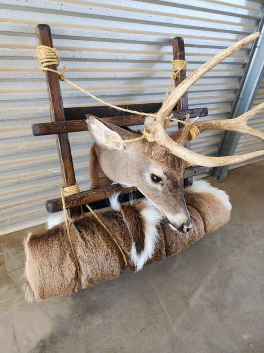 Whitetail Pack Out Back Pack Mount Taxidermy | Skin Pelt